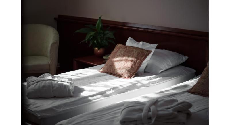 Garni Hotel Vila Milord Resort Palics Kültér fotó